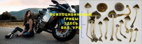 марки nbome Алзамай
