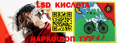 дмт Краснодар
