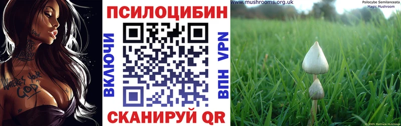 цены   Качканар  Псилоцибиновые грибы GOLDEN TEACHER 