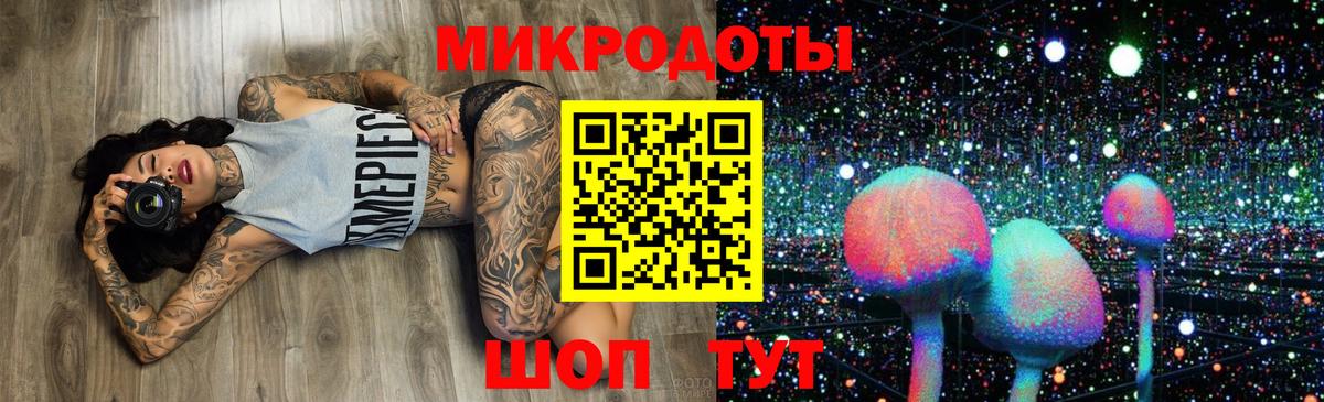 Галлюциногенные грибы прущие грибы  Галлюциногенные грибы Cubensis  Качканар  Вход с VPN 