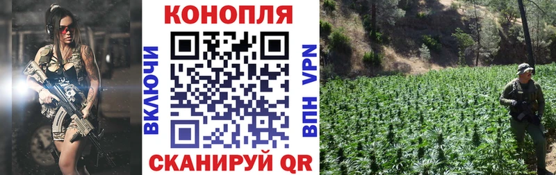 Бошки марихуана Ganja  shop клад  Качканар 